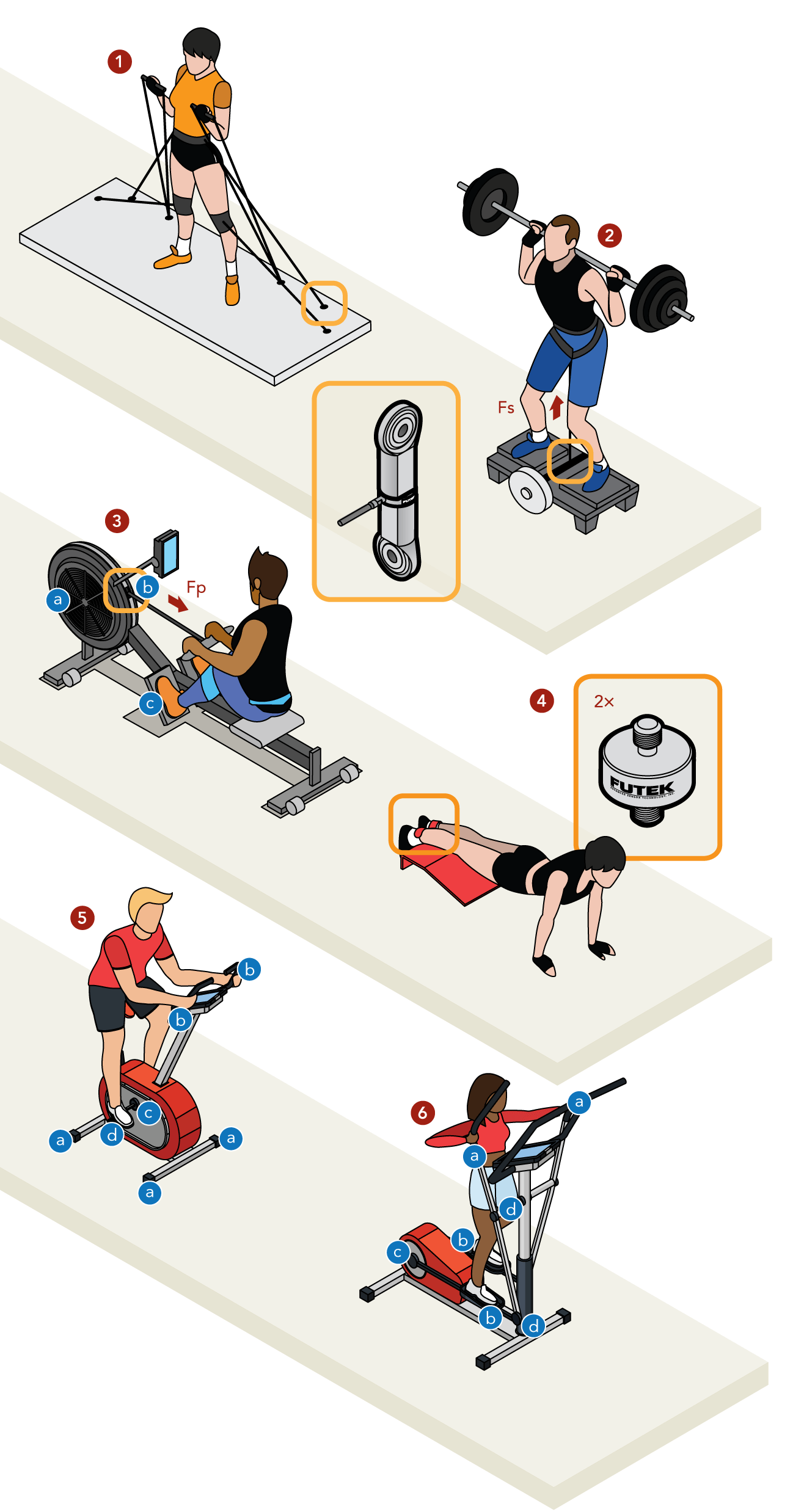 load cell force sensor measurement gym fitness workout training equipment